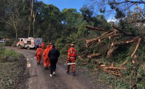 VICSES storm response